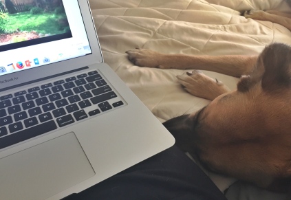 Ziva sleeps, resting her head by a laptop